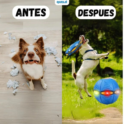 PELOTA VOLADORA PARA MASCOTAS™