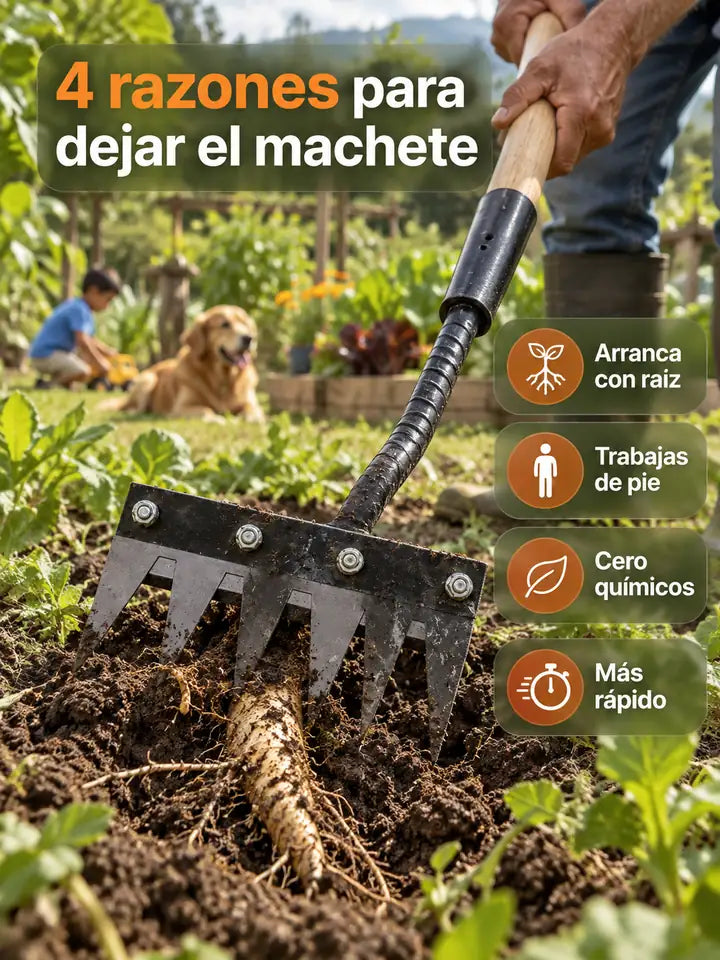 landing-rastrillo-raizfuera-colombia-3