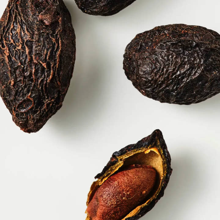Frutos de saw palmetto