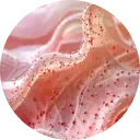 PDRN de salmón